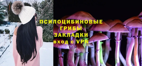 MDMA Няндома