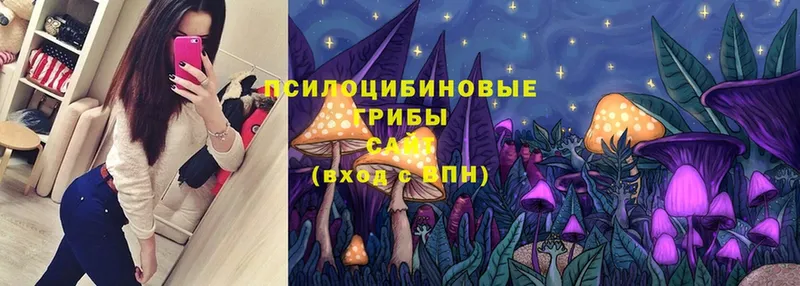 гидра   Касли  Галлюциногенные грибы MAGIC MUSHROOMS  где купить наркоту 